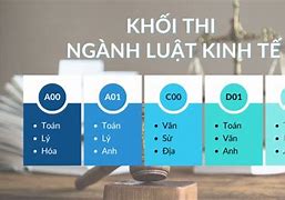 Ngành Luật Nên Học Khối Nào