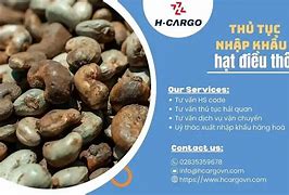 Nhập Khẩu Hạt Điều Từ Châu Phi